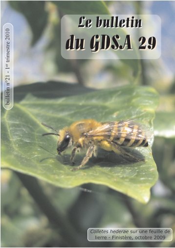 Bulletin du GDSA-29 n°21 - GDSA 29 - Free