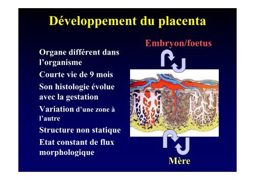 Pathologie du placenta