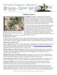 Crabgrass Control - Cornell Cooperative Extension of Suffolk County