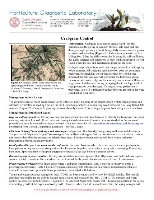 Crabgrass Control - Cornell Cooperative Extension of Suffolk County