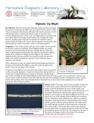 Diplodia Tip Blight - Cornell Cooperative Extension of Suffolk County