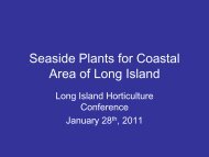 Seaside Plants for Coastal Area of Long Island Part 1