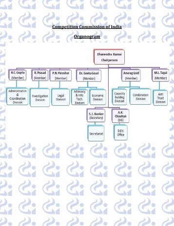 Professionals - Competition Commission of India