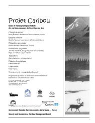 Caribous et mammouths ensemble - Taiga Net