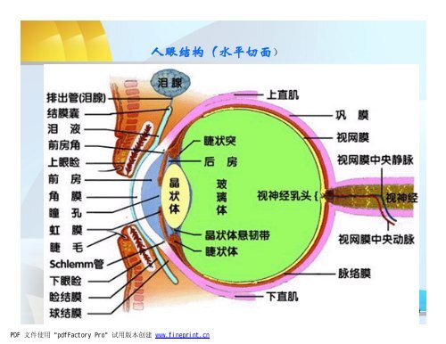 class13 第三章眼科仪器1.ppt [兼容模式]