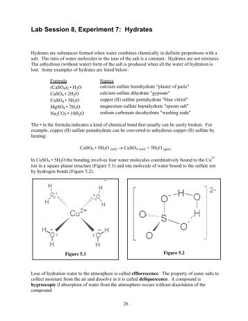 Lab Session 8, Experiment 7: Hydrates