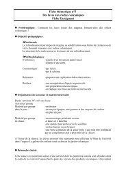 Fiche thématique n°3 Des laves aux roches volcaniques Fiche ...