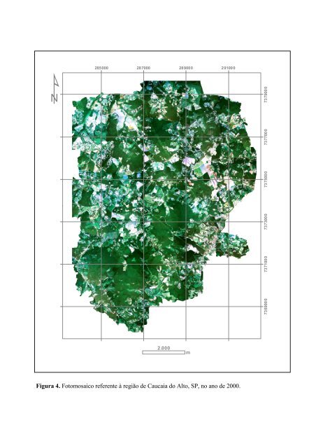 Modelagem da dinâmica de uma paisagem do Planalto de Ibiúna ...