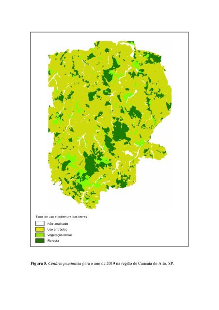 Modelagem da dinâmica de uma paisagem do Planalto de Ibiúna ...