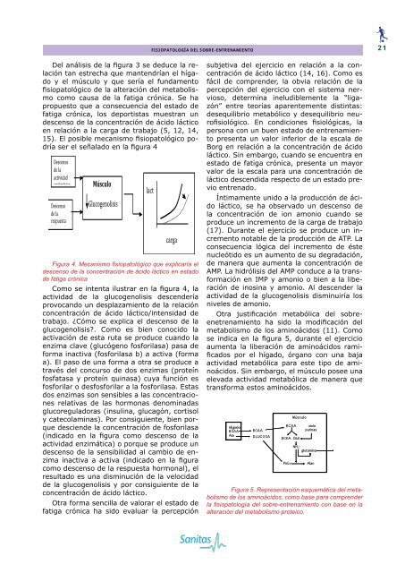 Descarga formato pdf - Comunidad Virtual CIENCIAS DEL DEPORTE