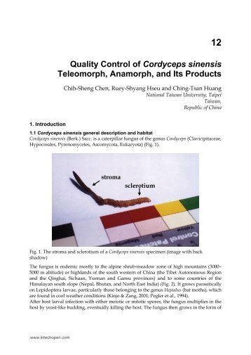 Quality Control of Cordyceps sinensis Teleomorph ... - InTech