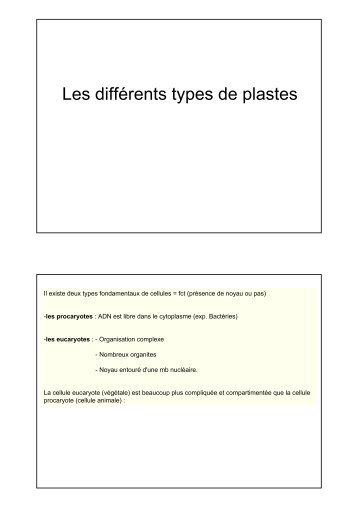 Les différents types de plastes