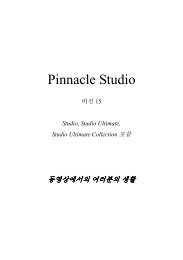 Studio - Pinnacle