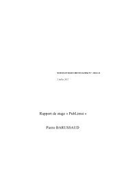 Rapport de stage « PubLimsi » Pierre BARUSSAUD