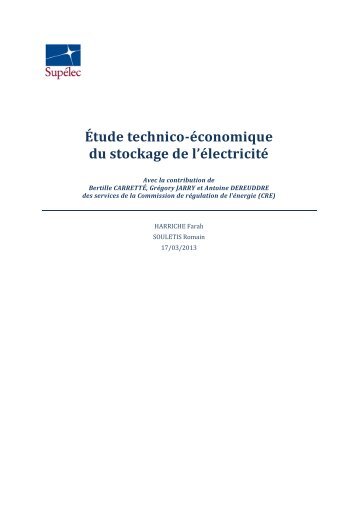 Étude technico-économique du stockage de l'électricité - Smart Grids