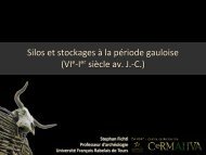 Silos et stockages à la période gauloise (VIe-Ier siècle av. J.-C.) - APIC