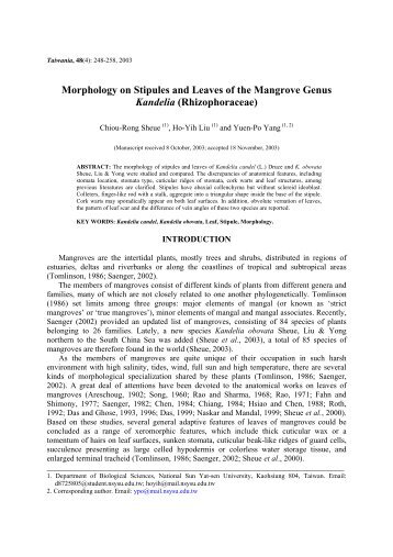 Morphology on Stipules and Leaves of the Mangrove Genus Kandelia