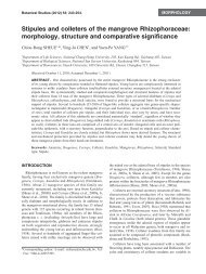 Stipules and colleters of the mangrove Rhizophoraceae ...