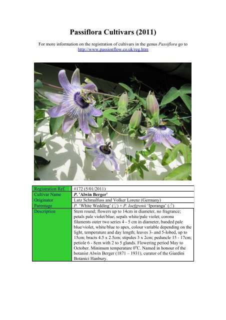 Passiflora 'Janus' - Passion Flowers