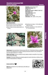 Download the Field Guide Part 2 (30 MB, pdf) - Colorado Natural ...