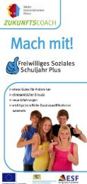 Freiwilliges Soziales Schuljahr Plus - Flyer