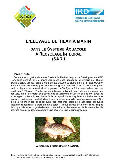 L'ÉLEVAGE DU TILAPIA MARIN (SARI)