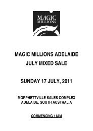 PDF Catalogue - Magic Millions