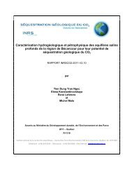 Caractérisation hydrogéologique et pétrophysique des ... - INRS