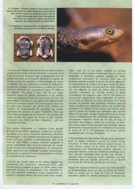 Connaissance, étude et protection des tortues dans le