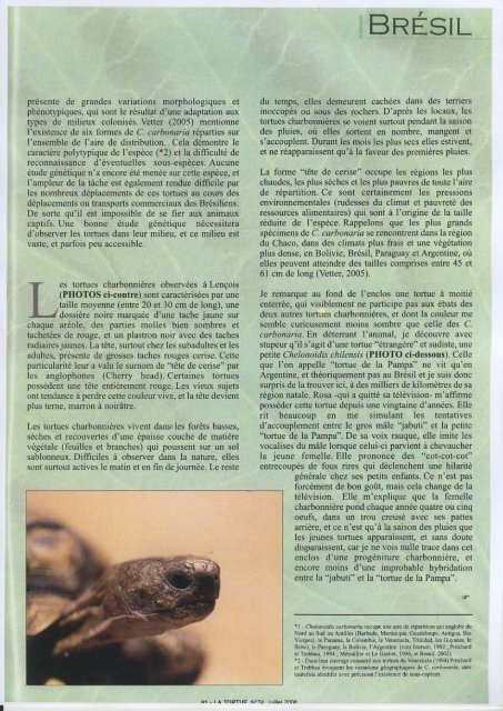 Connaissance, étude et protection des tortues dans le