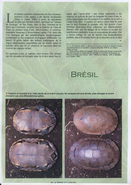 Connaissance, étude et protection des tortues dans le