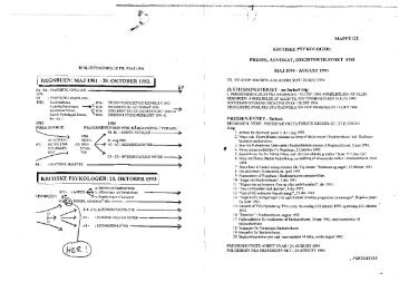 Presse, adv., politi, dommen maj 1994-aug 94 - Gaderummet