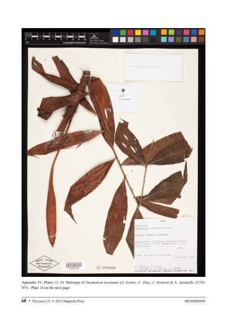 phytotaxa - Magnolia Press