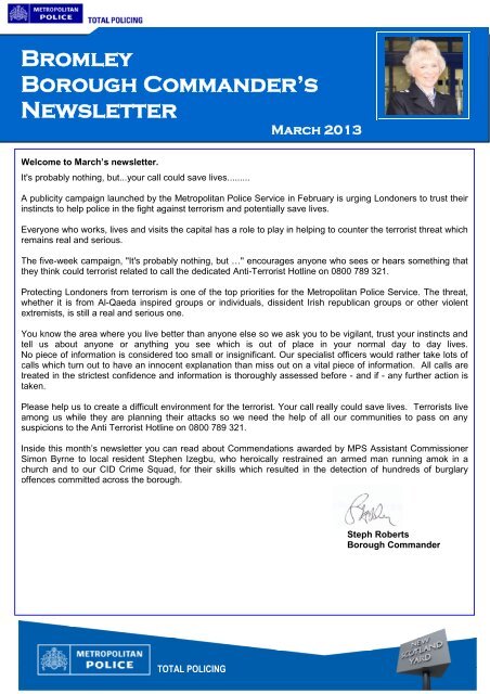 Bromley Borough Commander's Newsletter March 2013