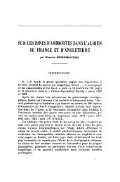 sur les zones d'ammonites dans l'alrien de france et d'angleterre