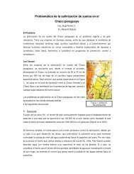 Salinizacion zona de transicion - cegae