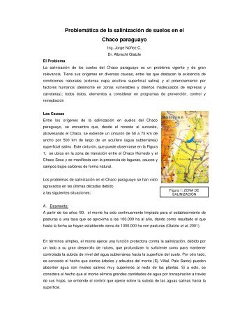 Salinizacion zona de transicion - cegae