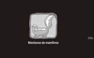 Monitoreo de mamíferos - cegae