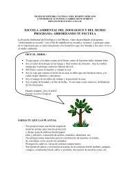 arborizando tu escuela - cegae