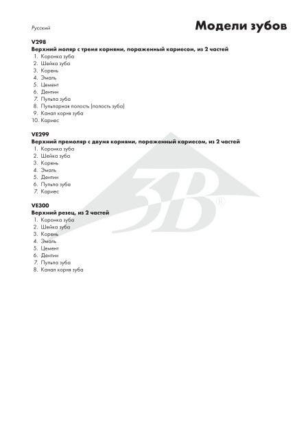 VE298, VE299, VE300 - American 3B Scientific