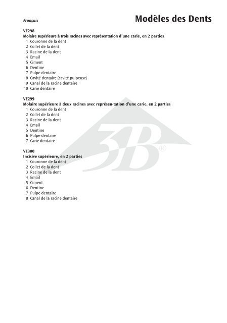 VE298, VE299, VE300 - American 3B Scientific