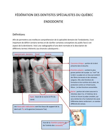 ce document PDF - Fédération des dentistes spécialistes du Québec
