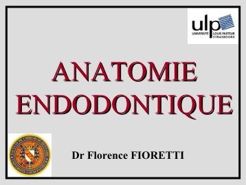 Dr Florence FIORETTI - AAECDS