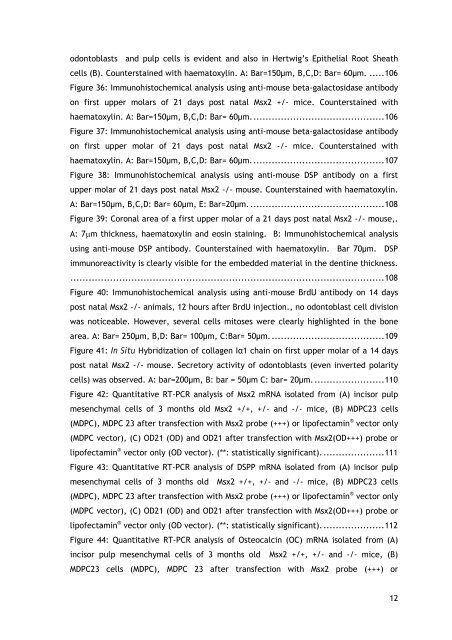 Molecular characterisation of odontoblast during primary, secondary ...