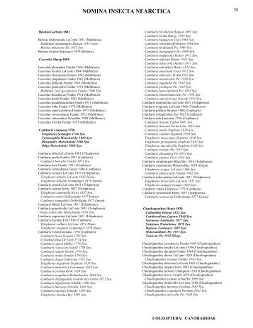 Cantharidae - Cerylonidae; pp. 75 - Nearctica