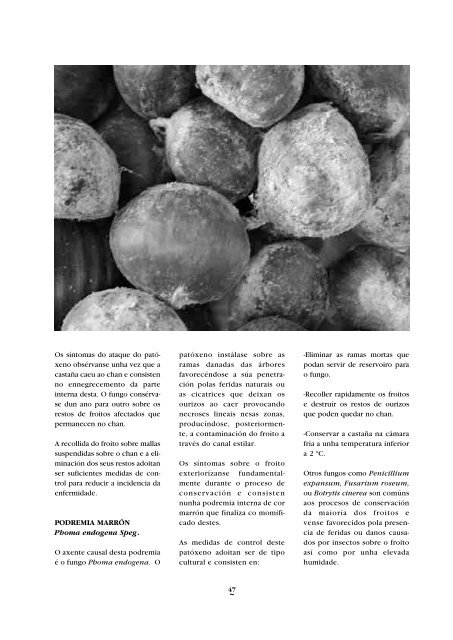 Revista RAIGAME - Buscador de Centros educativos.