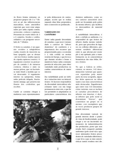 Revista RAIGAME - Buscador de Centros educativos.