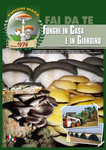 Francese - Azienda Agricola Funghi Mara