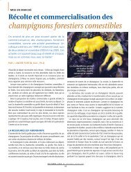 champignons forestiers comestibles - Association forestière des ...