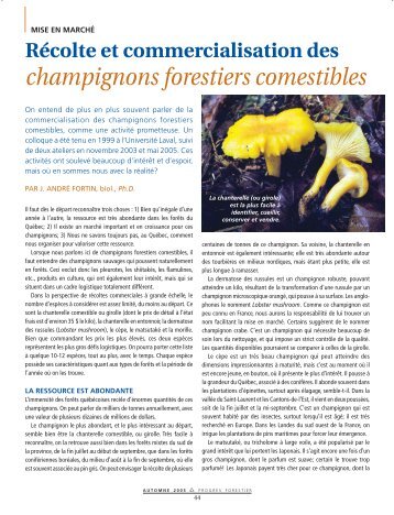 champignons forestiers comestibles - Association forestière des ...